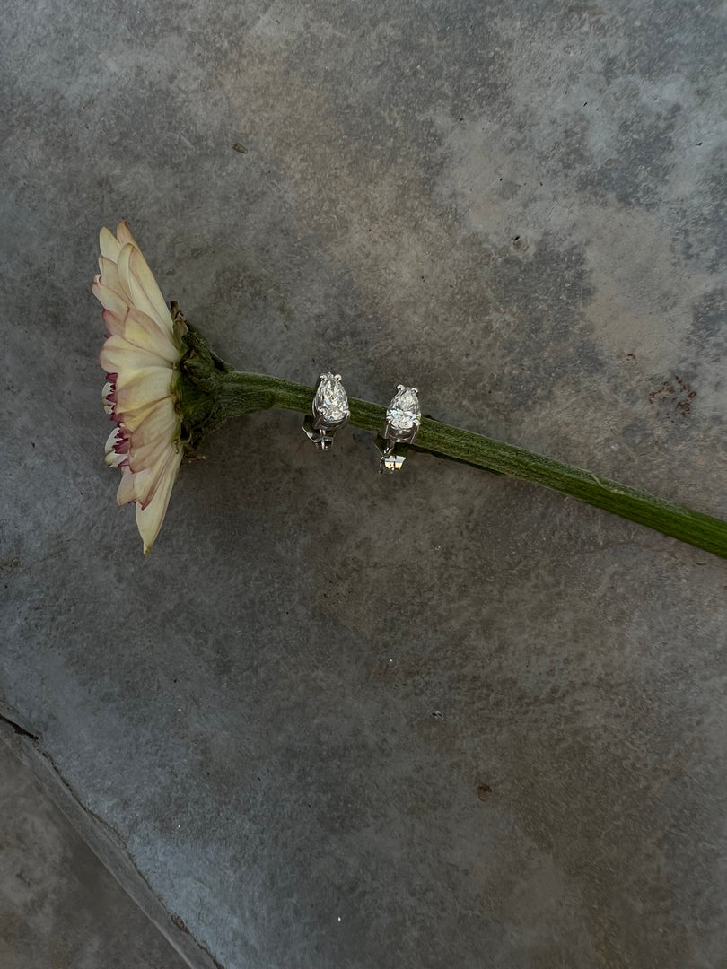 A single white flower with a green stem is the main focus of the image, which is set against a grey background.