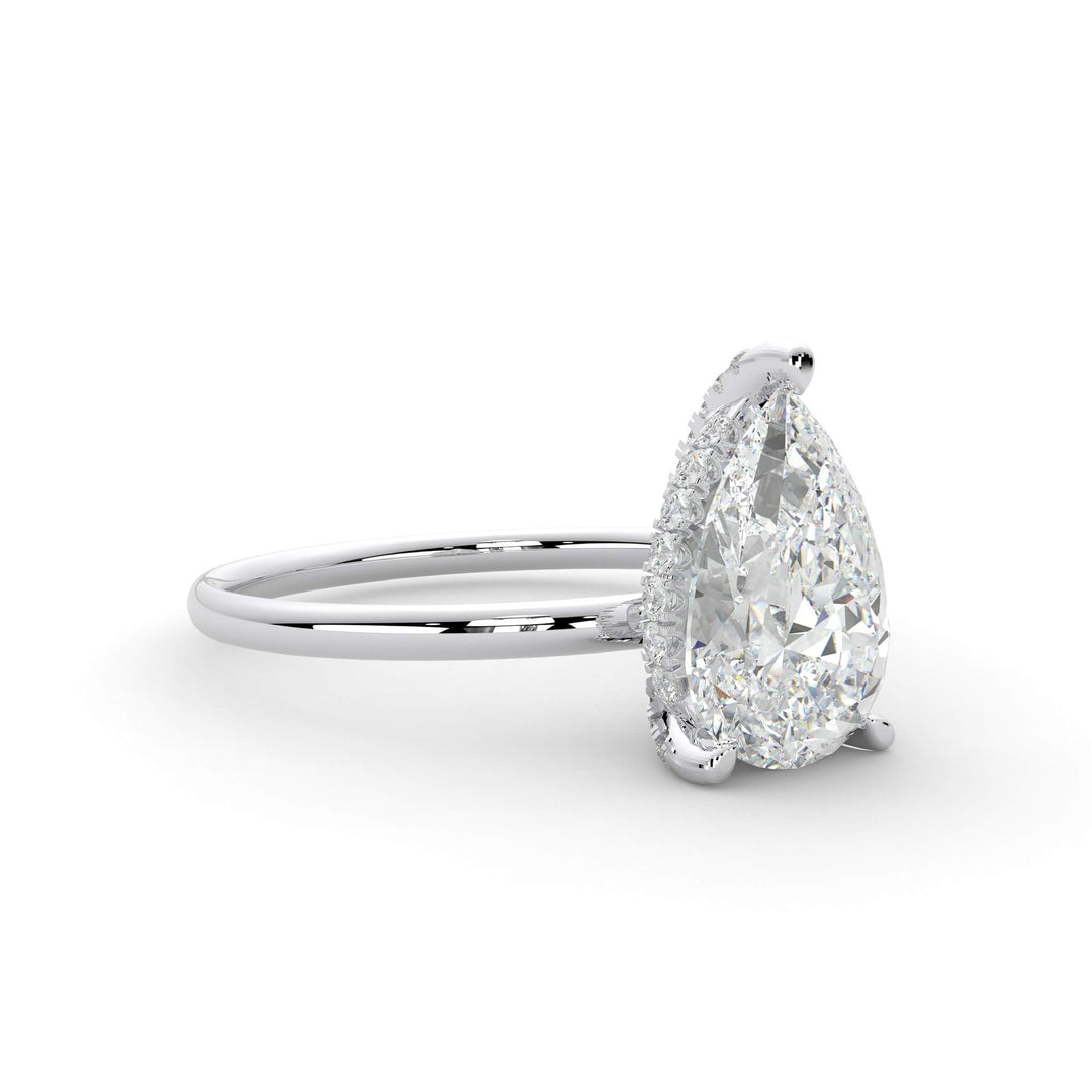Hidden halo pear (L-G)