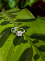 Cushion Halo Side Stones