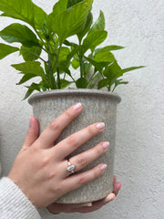 A hand holding a potted plant with a ring on the finger, set against a white background.