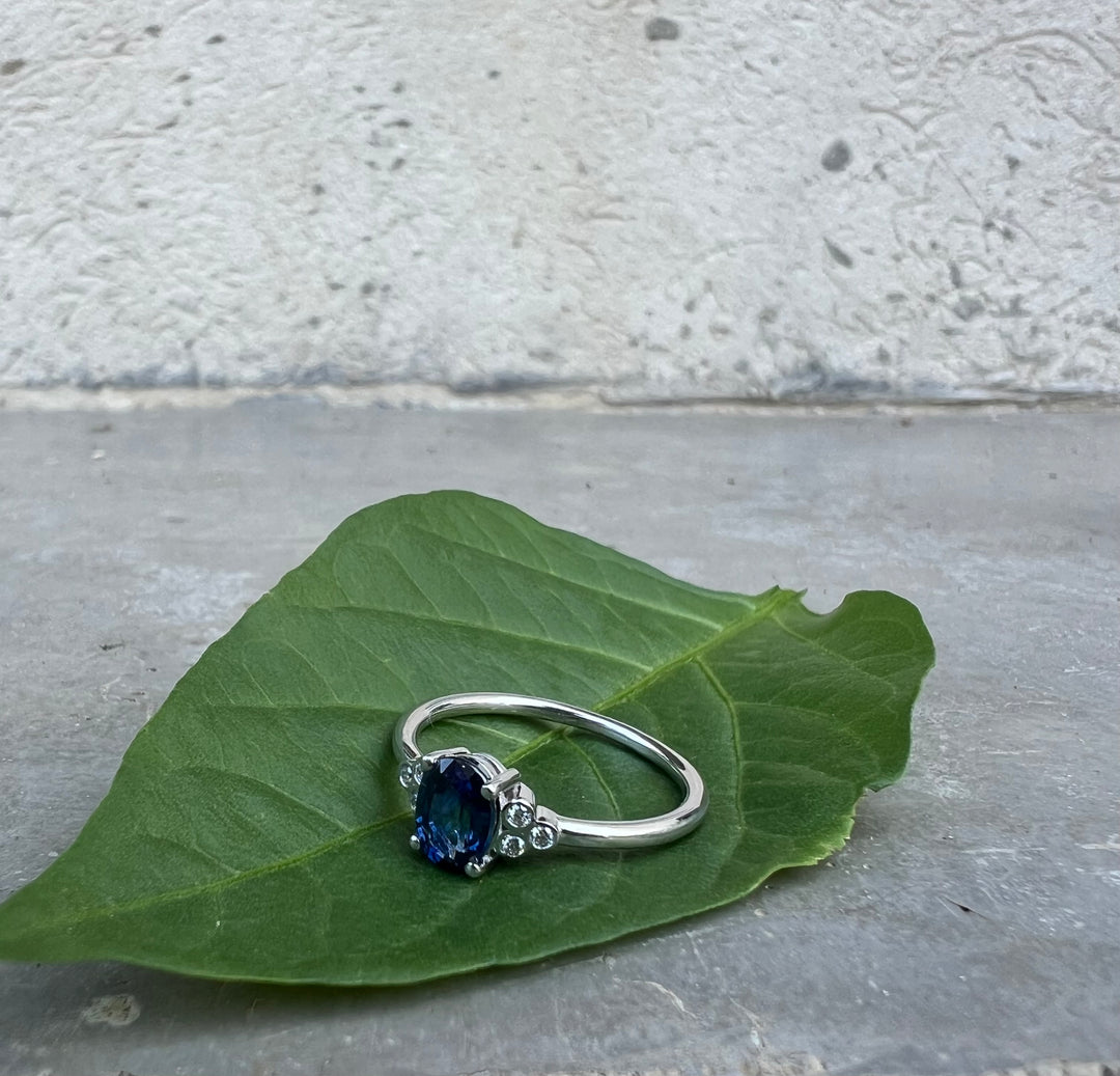 A silver ring with a blue gemstone is resting on a green leaf.